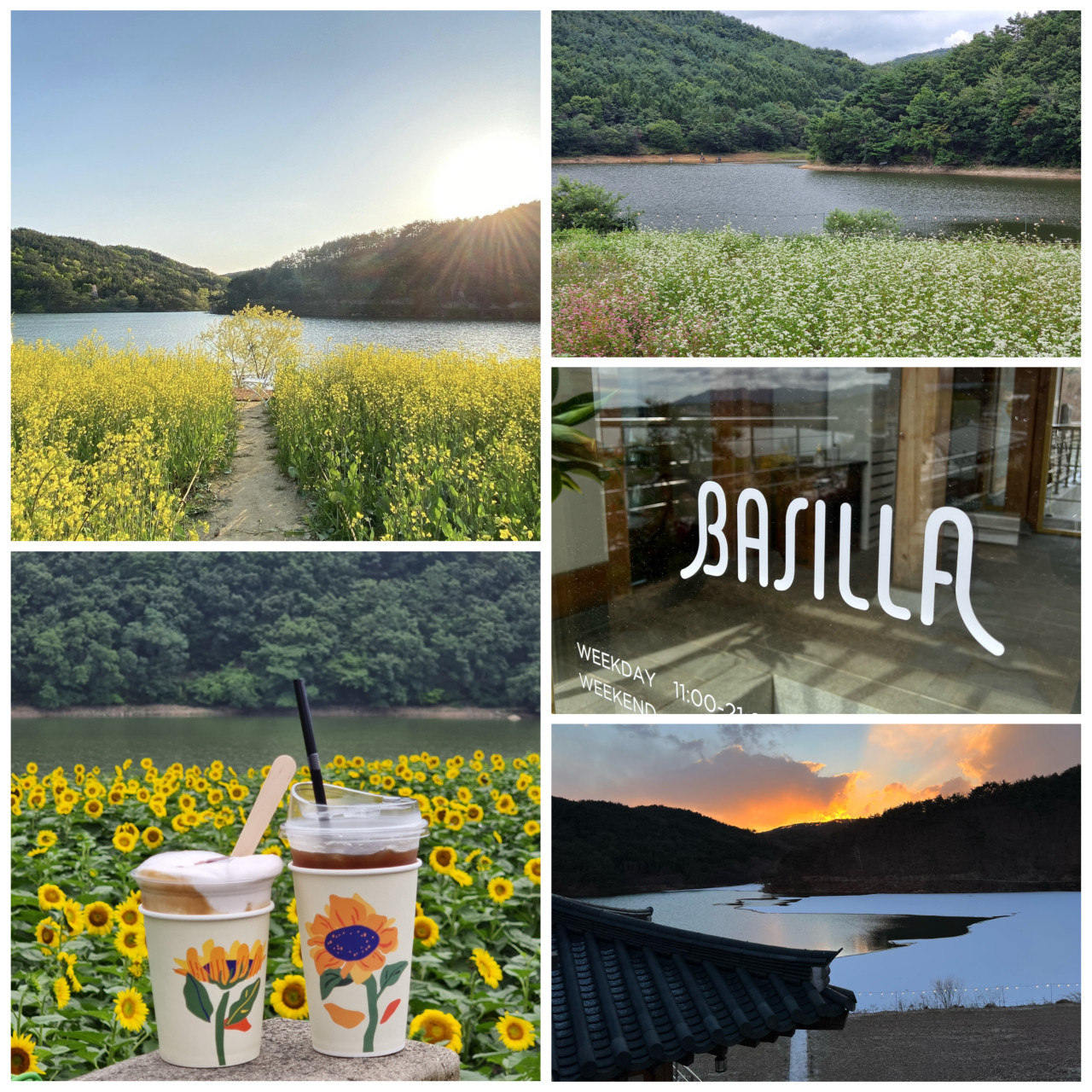 경주카페 이미지